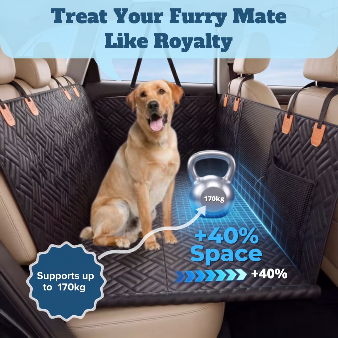 CWDAE™ Hard Base Dog Seat Cover